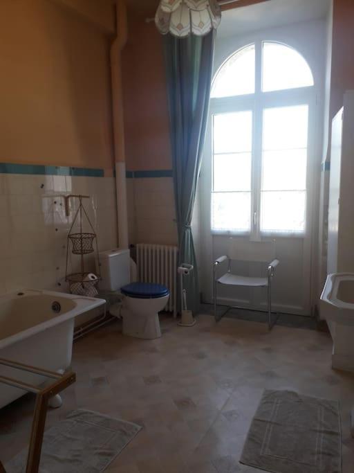 Magnifique Maison De Maitre Du 18E Avec Jardin Luz-Saint-Sauveur Zewnętrze zdjęcie
