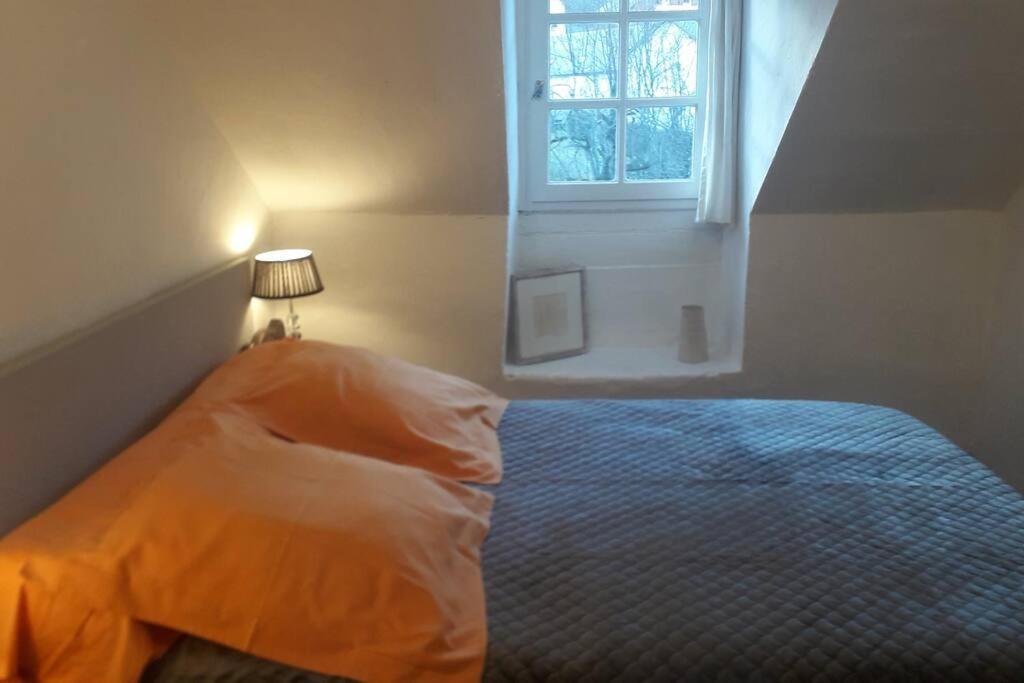 Magnifique Maison De Maitre Du 18E Avec Jardin Luz-Saint-Sauveur Zewnętrze zdjęcie
