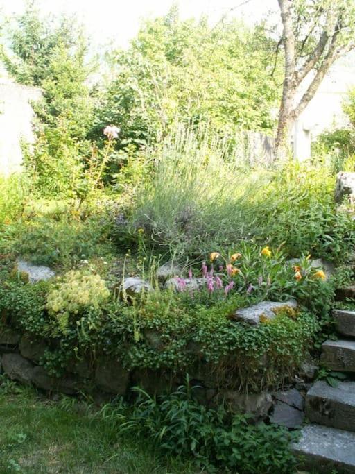 Magnifique Maison De Maitre Du 18E Avec Jardin Luz-Saint-Sauveur Zewnętrze zdjęcie