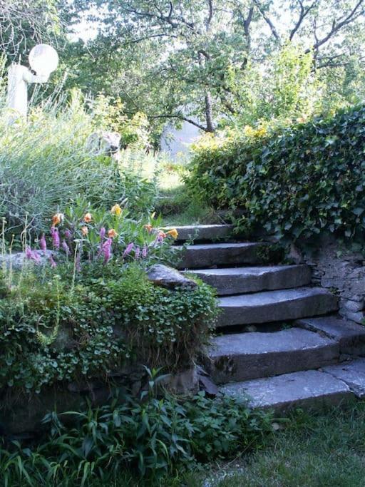 Magnifique Maison De Maitre Du 18E Avec Jardin Luz-Saint-Sauveur Zewnętrze zdjęcie